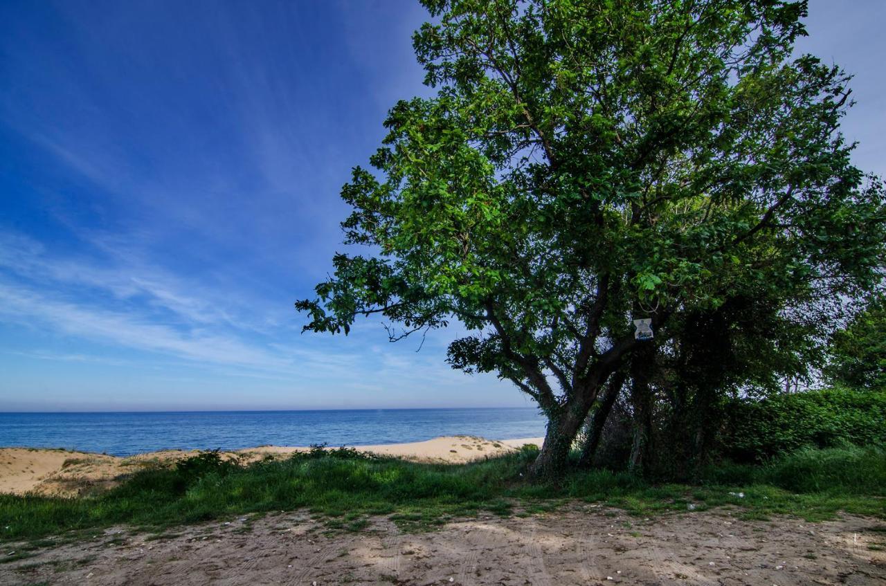 Alex Village Škorpilovci Exteriér fotografie